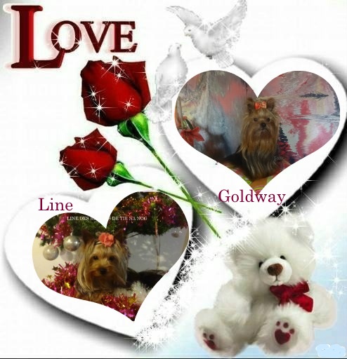 Mariage de Line et Goldway L.O.F