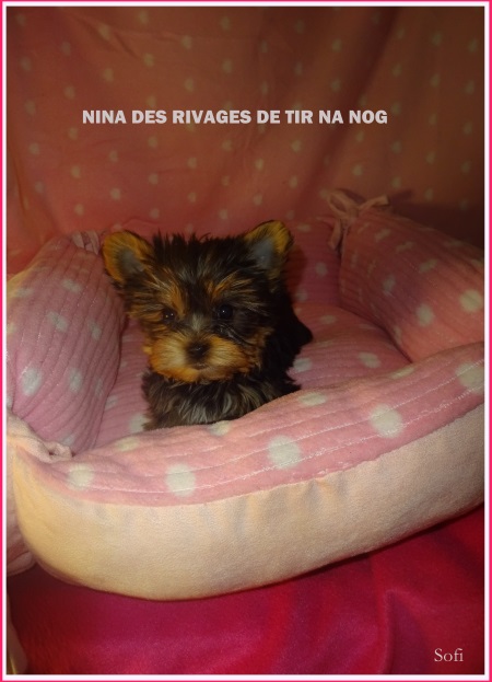 Nina Des Rivages De Tir Na Nog L.O.F