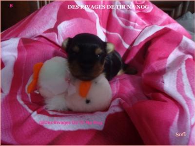 Beb a delphes et jayson 013 copie