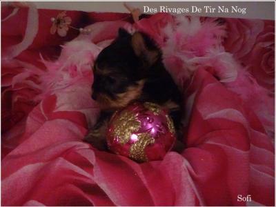Bebes a delphes 021 copie