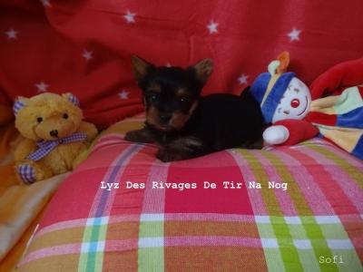 Bebes a fantasia et gaylord 036 copie copie copie copie