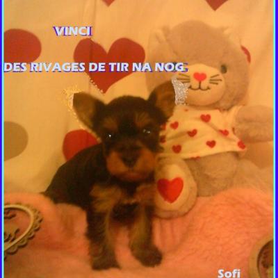 Dscf0147 1