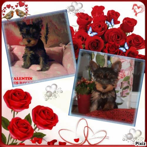 Pixiz 24 02 2025 05 43 37 1